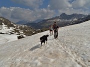 27 Proseguiamo per scendere ai Laghi Gemelli in compagnia di escursionista col bel cane nero Scintilla